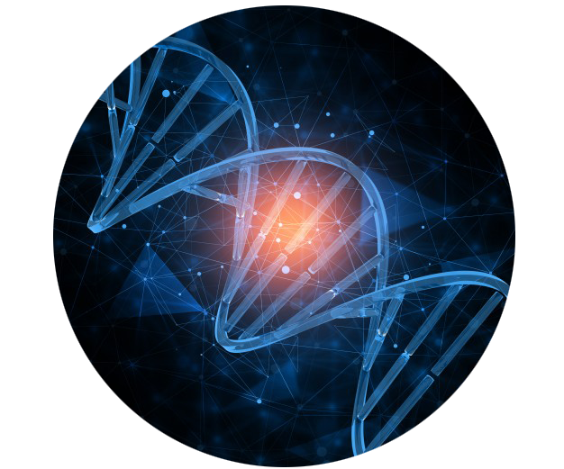 1516337546597344.png 1516337546597344.png