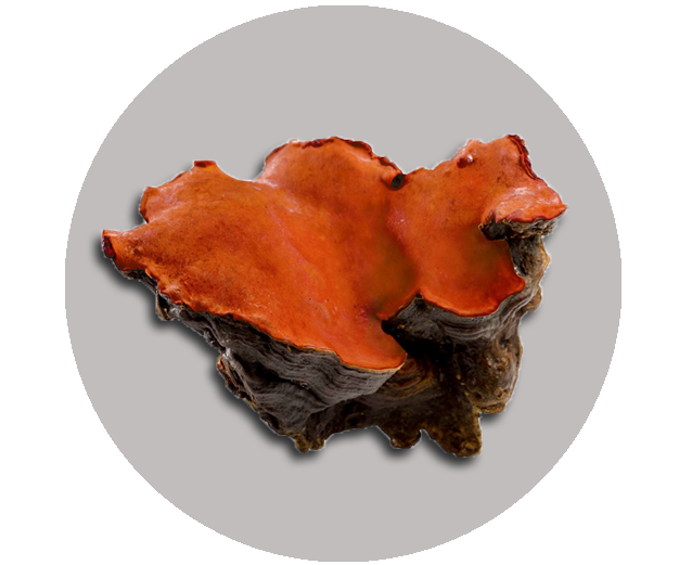 1516338798104015.png 1516338798104015.png