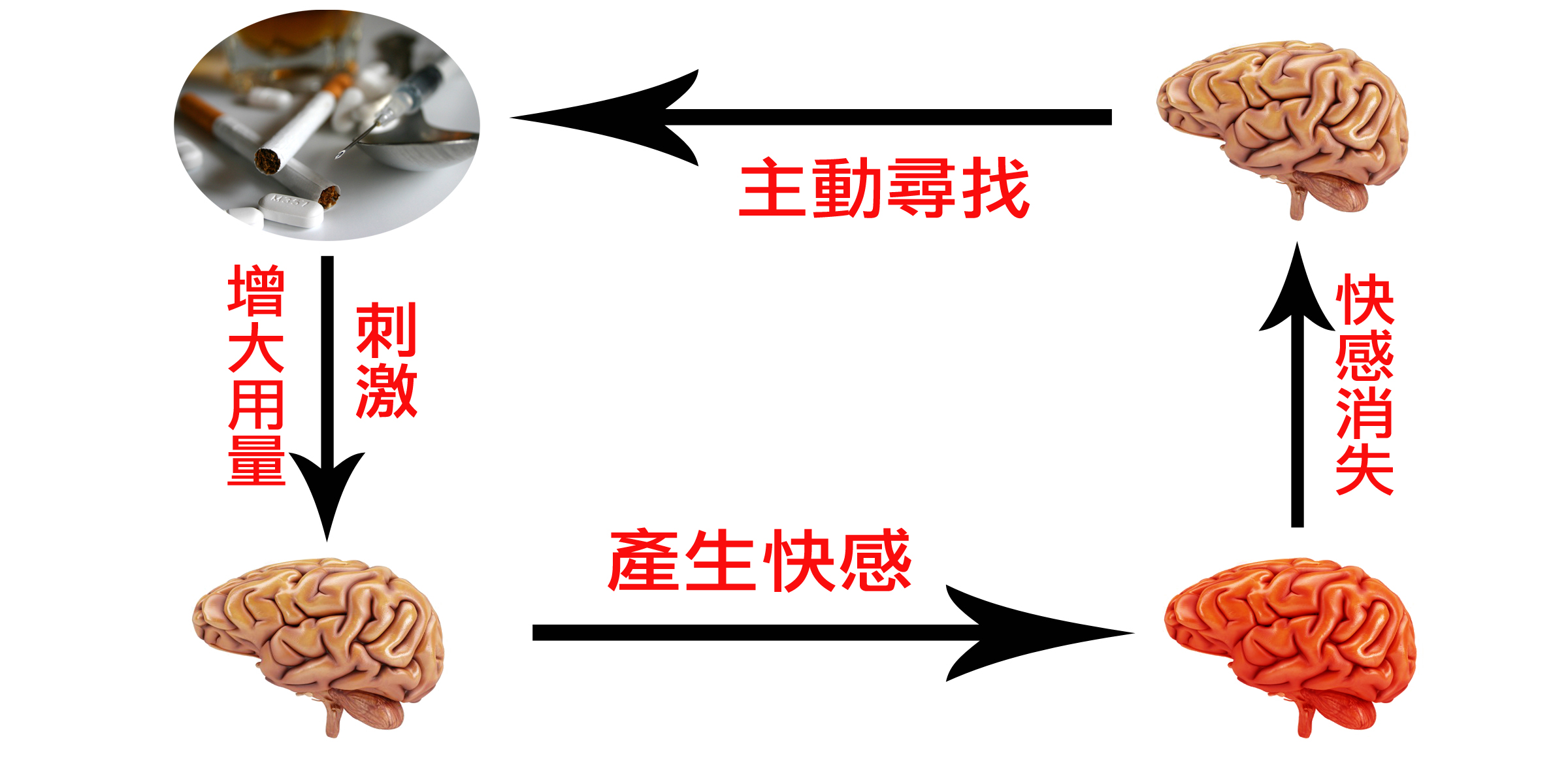 1516512168697243.jpg 1516512168697243.jpg