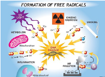 1517382513526675.png 损害.png