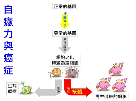 1517382530242987.png 1517382530242987.png