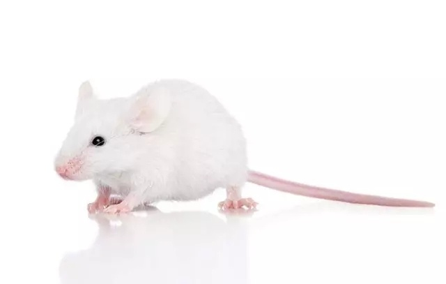 1521105414960187.png 1521105414960187.png