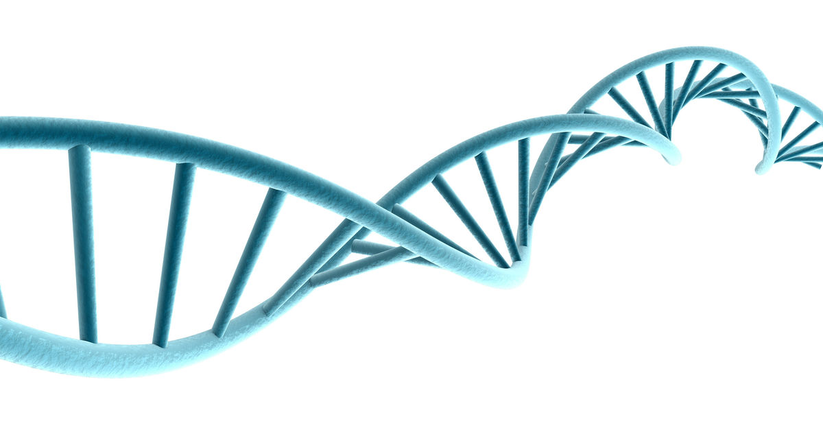 1521108894416244.jpg 1521108894416244.jpg